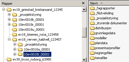 14 6.2.3 Katalogstruktur for delprosjekt Katalognavn Det opprettes egen katalog for hvert delprosjekt under hovedprosjektet. Katalogen navngis med navn på det aktuelle delprosjektet og prosjektnummer.