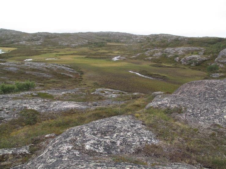 AS Ny vei Leirpollen - Gamneset