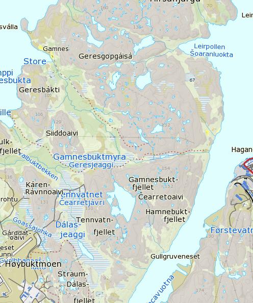 Spesifikt består planområdet av lav- og lyngdominerte heier, mindre myrpartier, og frodig, men uproduktiv bjørkeskog, se Figur 3-2.