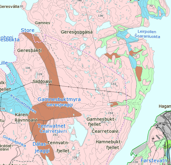 Dette er overveiende harde og næringsfattige bergarter som forvitrer relativt langsomt, og området har derfor mye bart fjell, eller tynt løsmassedekke, se Figur 3-1.