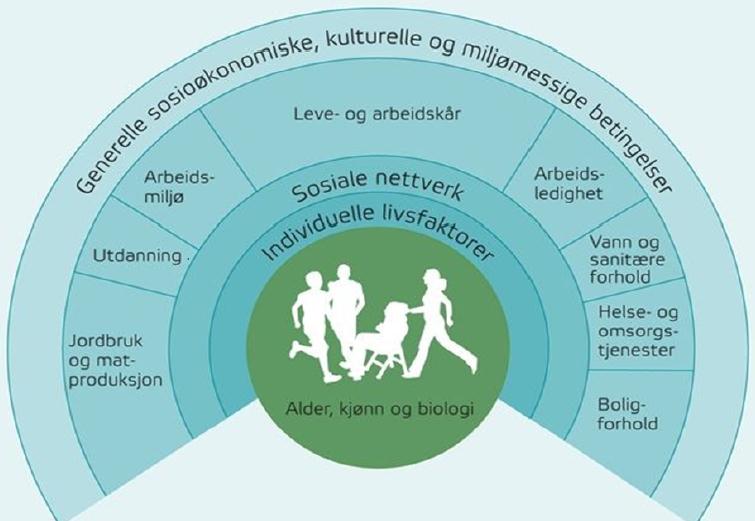 Statistikkområdet - Helse, sosial og omsorg