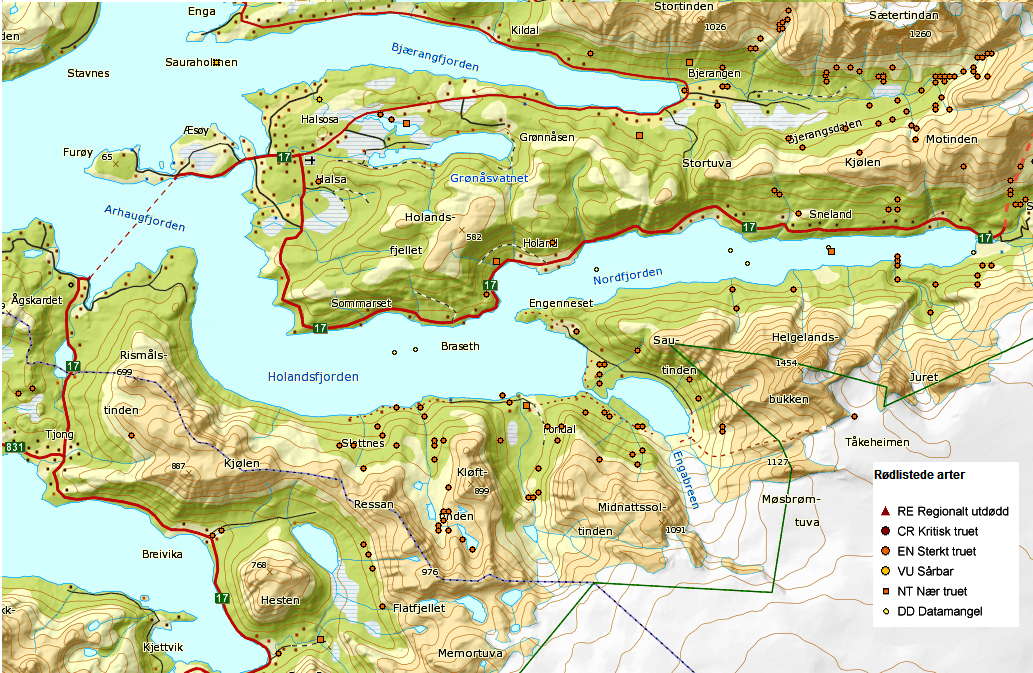 Konsekvensutredning for Fv 17 Storvika - Reppen Sluttrapport 86 Figur 34. Registreringer av rødlistearter. En ser av figur 34 at det er en god del registreringer av rødlistearter i influensområdet.
