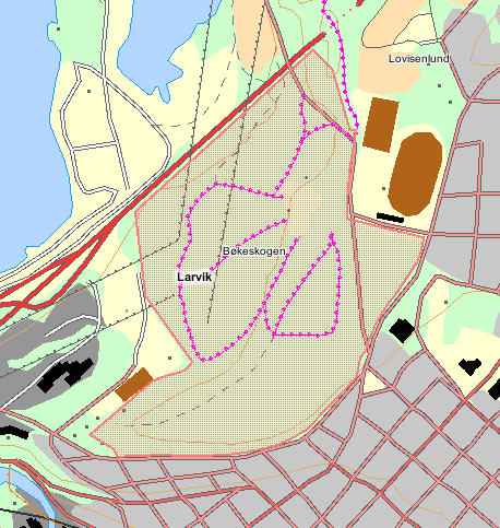 1. INNLEDNING 1.1 Bakgrunn Larvik Bøkeskog landskapsvernområde ble opprettet 6. juni 1980, se verneforskriften vedlegg 14.1. Verneområdet ligger i Larvik kommune.