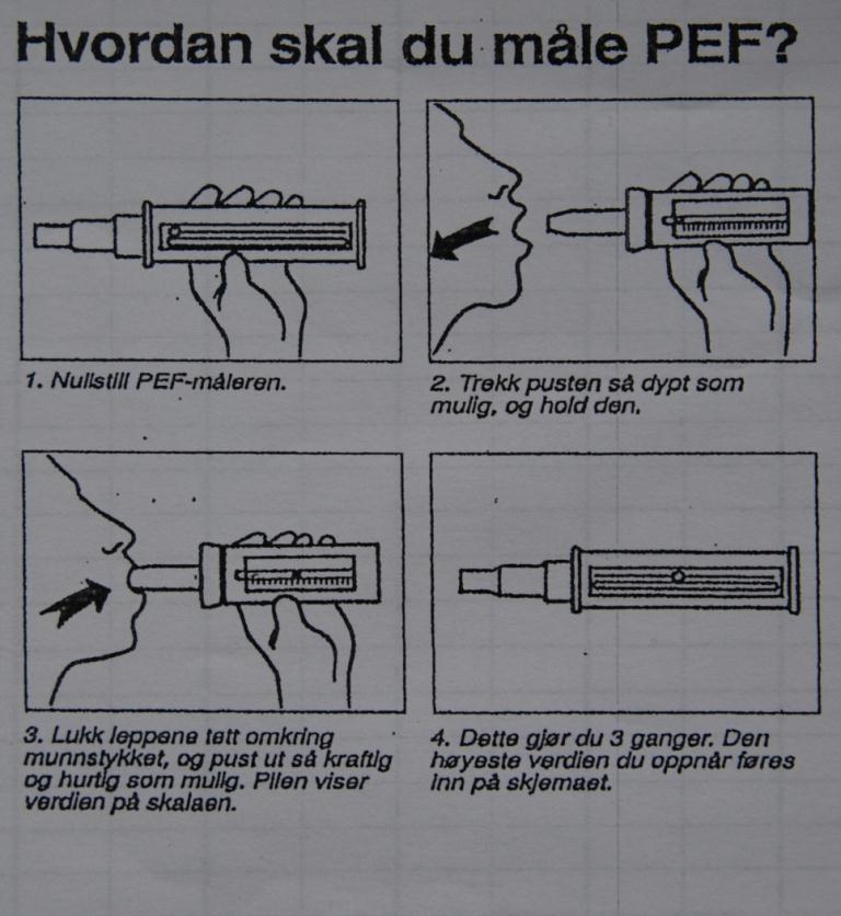 Skjema for MÅLING AV TOPPSTRØMSHASTIGHET (PEF). ved YMA, HUS (1) Informasjonsdel Toppstrømshastighet (PEF-Peak expiratory flow) måles både i arbeide og fritid. Det er ønskelig å måle (minst) ca.