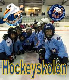 Haugesund Seagulls Skøyte og hockeyskolen Skøyte og Hockeyskolen ønsker å gi alle barn mellom 4 og 8(+/-) mulighet til å lære seg å gå på skøyter og å spille ishockey.