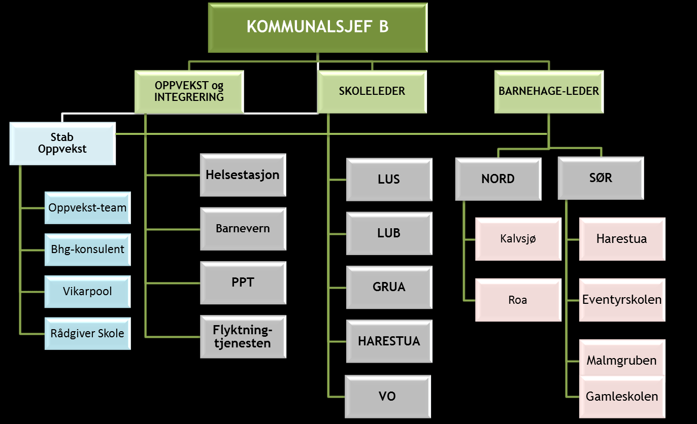 Justert detaljering, kommunalsjef b) se kommentarer nedenfor: