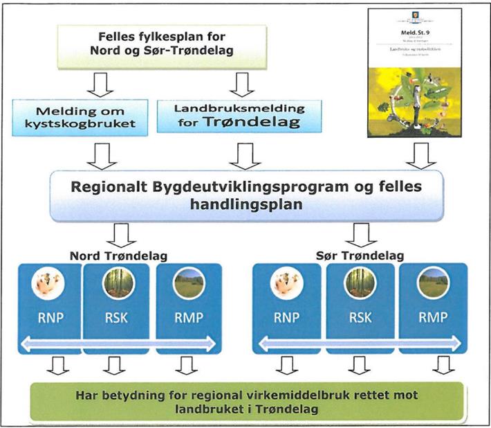 Hovedstrategi - kompetanse