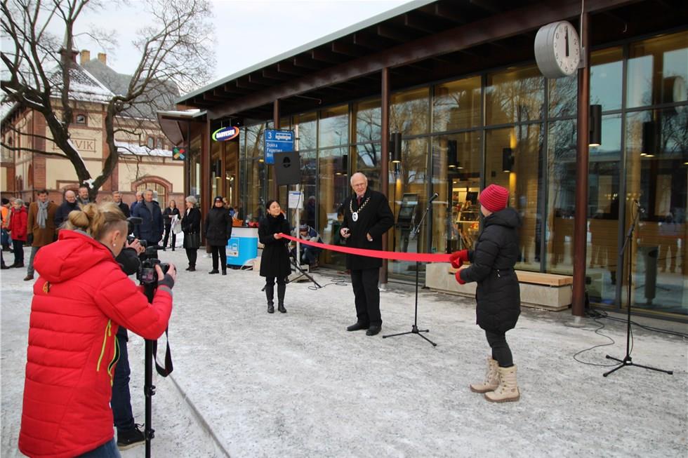 Gjøvik Kommune: Prosjektnavn: Prosjektsjef: Knutepunkt: Status: Modell: Gjøvik (30.000 innb.