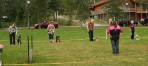 Grasrotandel! Nå er det mulig å registrere Bardu Hund som den klubb som skal motta grasrotandelen når du tipper! Gi din støtte til Bardu Hund!