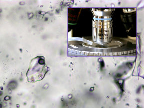 SLIPLABORATORIET Laboratoriet fremstiller tynnslip og polerslip av pulver og faste bergartsprøver. Prøvene brukes i undervisning og forskning både til optisk mikroskopi og elektronmikroskopi.