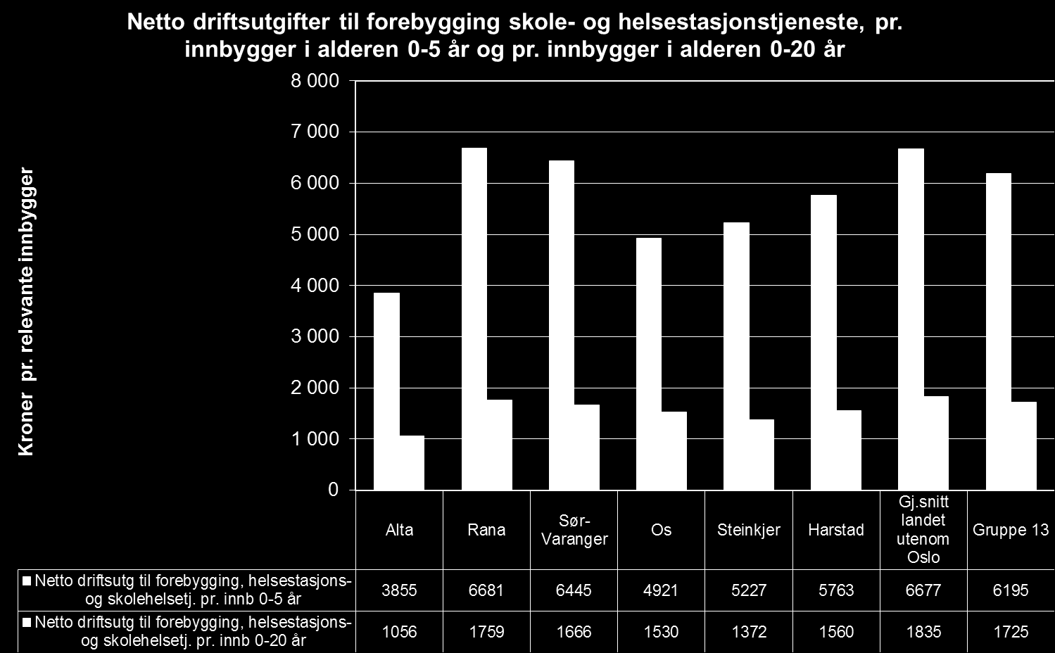 Netto utgift til