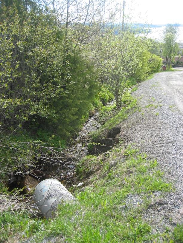 Overvann fra Berg terrasse, Panoramavegen og nedslagsfeltet oppstrøms samles i dag i et eldre kulvertsystem lokalisert nord-øst for garasje hos gnr 75 bnr 20 (se figur 6, 7 og 8).