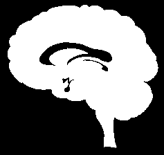 Menstruasjonsforstyrrelser - epilepsi - medikamenter - andre Progesterone - LH FSH - Inhibin Østrogen GnRH +/- -Hei T, jeg har heller aldri skrevet i forumet før!