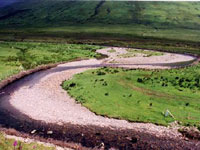 North Atlantic Salmon Conservation Organization Conserving and restoring wild Atlantic salmon Habitat Protection and Restoration Over the last 150 years much salmon habitat has been lost and this