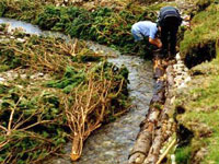 Causes include visible factors, such as hydro-electric dams, and the invisible, but highly damaging, impacts of acid rain. There may be physical, chemical or biological impacts on habitat.