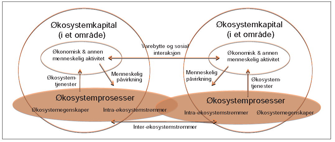 FNs eksperimentelle økosystemregnskap SEEA/EEA: