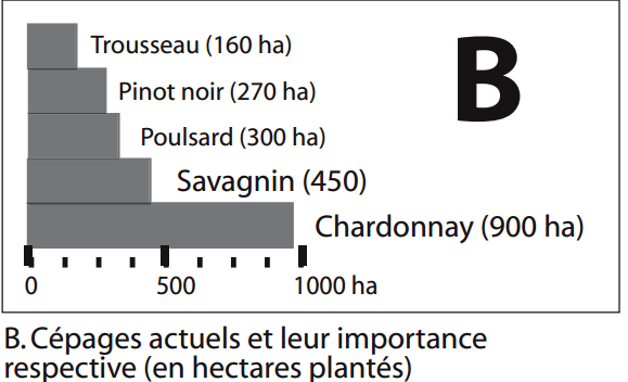 Historisk vinmarksareal i Jura 12.11.