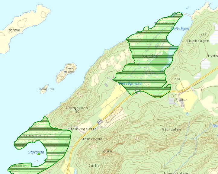 3.3. Naturverdier I databasen til Miljødirektoratet har områdene rundt Ausvika og Geitvågen store verdier knyttet til naturen og artene på stedet.