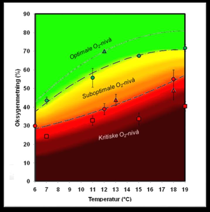 Årstidsvariasjoner Lavest O 2 i høstperioden- høy temperatur og biomasse Temperatur