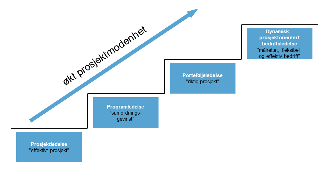 Prosjektmodenhetsmodellen har fire nivåer for modenhet: - prosjektledelse (effektivt prosjekt) - programledelse (samordningsgevinst) - porteføljeledelse (valg av riktig prosjekt) - dynamisk