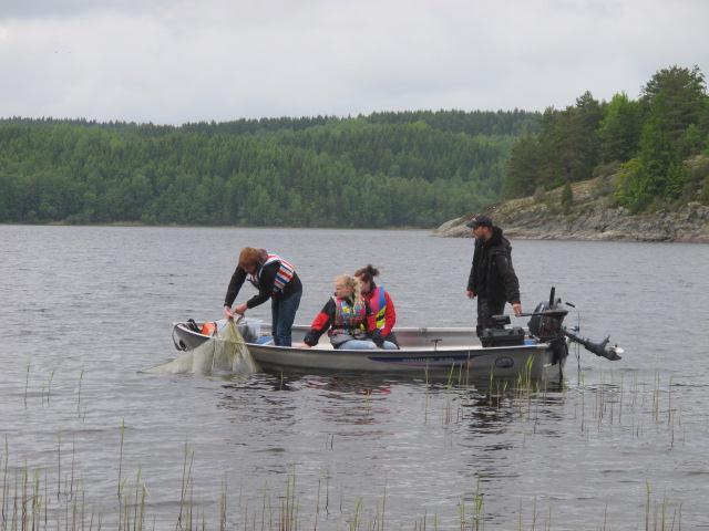 Stasjon 6 og 7 Sundshult og Kynne Foss Vi kjører over elva og tar til venstre i Bullarebygd og fortsetter sørover på riksvei 165. Etter ca 10 km er det skiltet til venstre mot Sundshult.