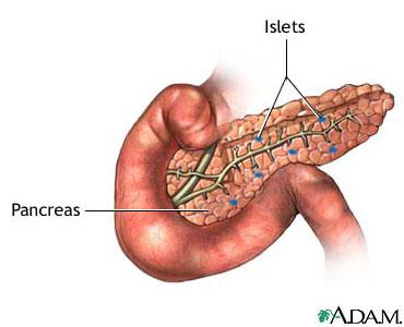 Forventet tall for abdominal TX 2014 110-120 290-300