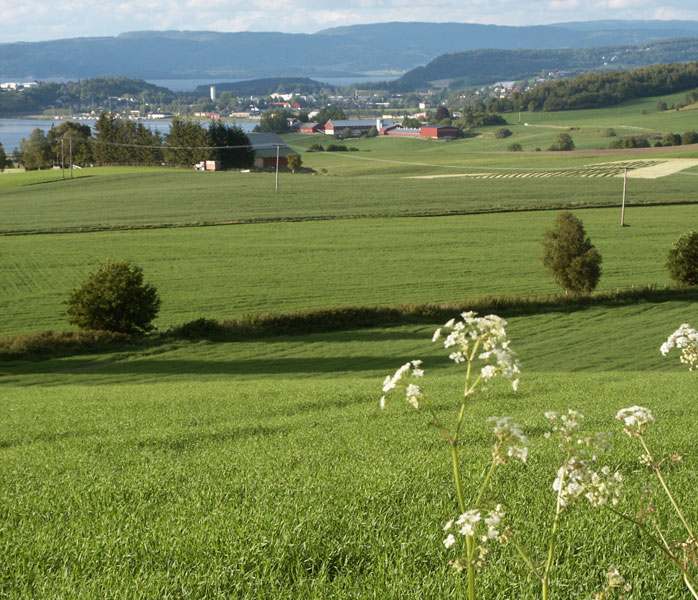 Innherred samkommune Erfaringer med Innherred samkommune - utfordringer og