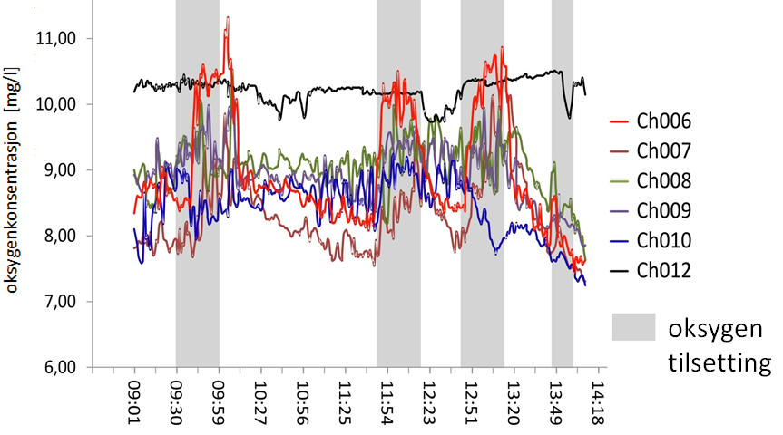 Figur 23: Oksygenkonsentrasjon i forsøksmerd (se også figur 21) og på referansested (Ch012) i perioder med og uten oksygeneringstiltak. Perioden dekker 5 timer under fallende sjø i Hardangerfjorden.
