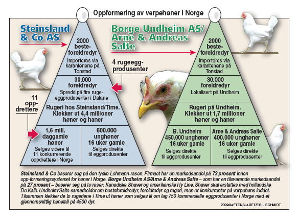 4.8 Produksjon og struktur egg Verdikjeden for verpehøns er beskrevet nedenfor: - Importør: Besteforeldredyr importeres av rugeriene og blir etter karantenetiden satt i produksjon.