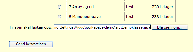 Studer figuren. Vinduet heter Properties for Demoklasse.java. Det merkede området er filsystemets fulle adresse til den filen du ønsker å sende til Evalanche.