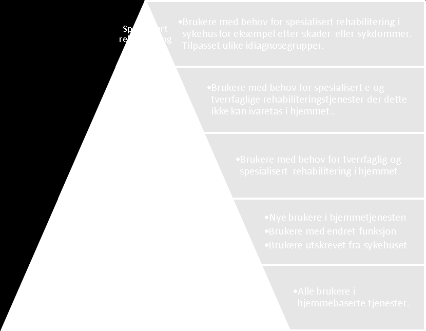 Rehabiliteringspyramiden Kilde: Kristiansand kommune. Fritt etter Gallacher (2005). SJ BOA-BGS Blue Book, Best Prac Res Clin Rheum 2005; 19:6:1081-1094 5.