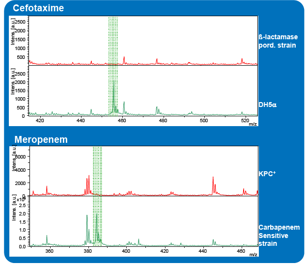 Hydrolysering av ß-laktam antibiotika Cefotaxime MW = 455,5 g/mol