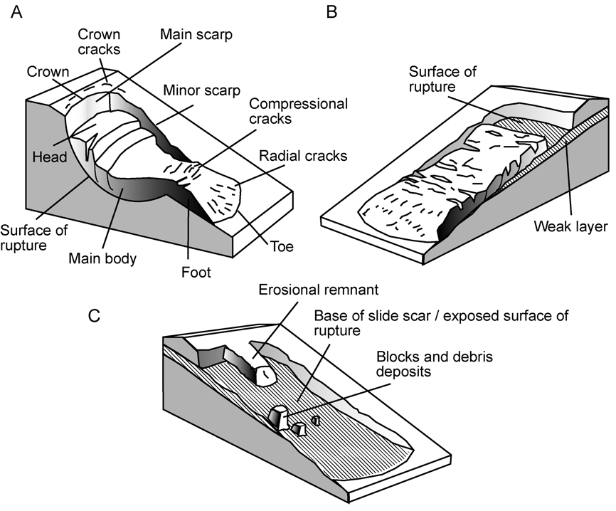 Figur 7. Generell klassifikasjon av undersjøiske massebevegelser (Locat & Lee 2002; 2009). Alle typer forekommer på land unntatt turbiditstrømmer (Eng: turbidity currents).