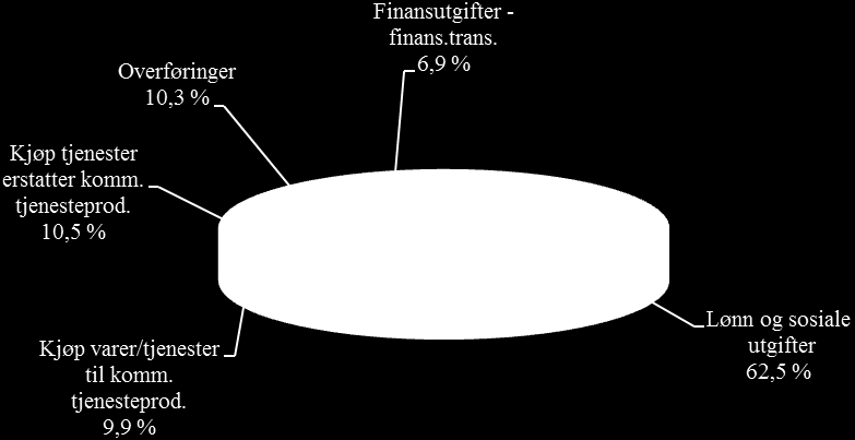 Figur 2.4.1 viser fordelingen av utgiftssiden inkl. eksterne finansutgifter i driftsbudsjettet, som utgjør til sammen 2,446 mrd. kroner.