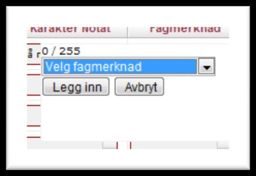 Under Fagmerknad kan du velge en forhåndsdefinert fagmerknad som ligger lagret i programmet. Denne fagmerknaden kommer bl.a med på vitnemålet ved innlegging på standpunktkarakterer.