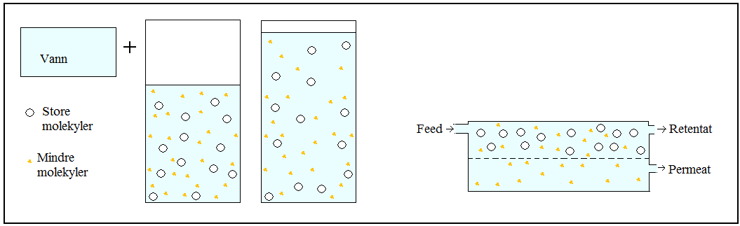 3. Teori retentatet. Dette er en metode som kan brukes til å laktoseredusere melk.