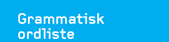 Adjektiv Adverb Akkusativ Ord som beskriver et substantiv (navn på ting, dyr, personer). Ord som beskriver et verb (det noen gjør eller det som hender). Adverbet sier noe mer om handlingen.