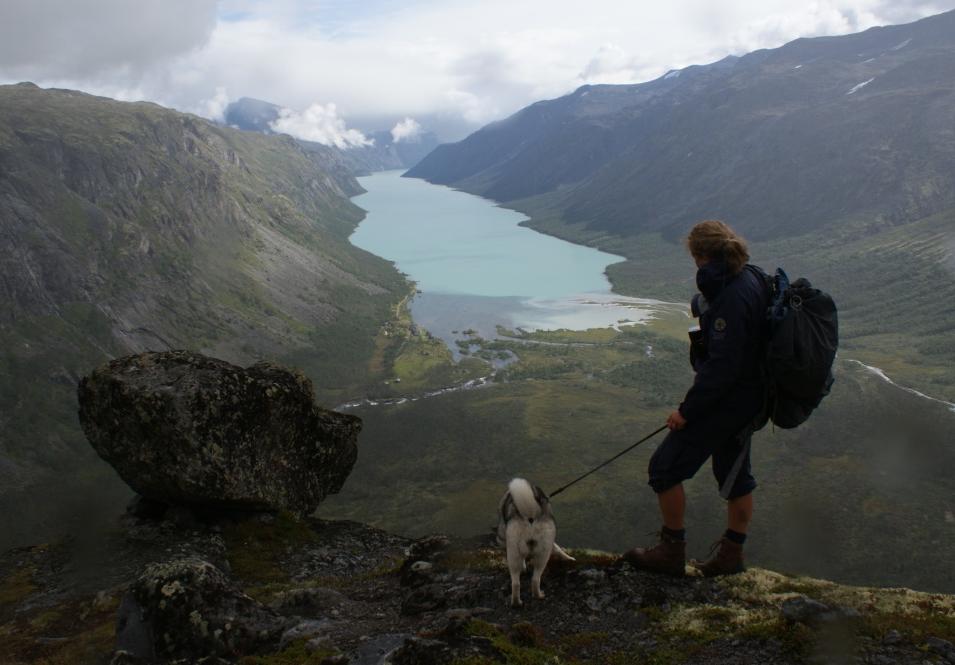 Naturvegleiing i Jotunheimen skal gje besøkjande innsikt i, forståing for og kunnskap om natur- og kulturarven i Jotunheimen.