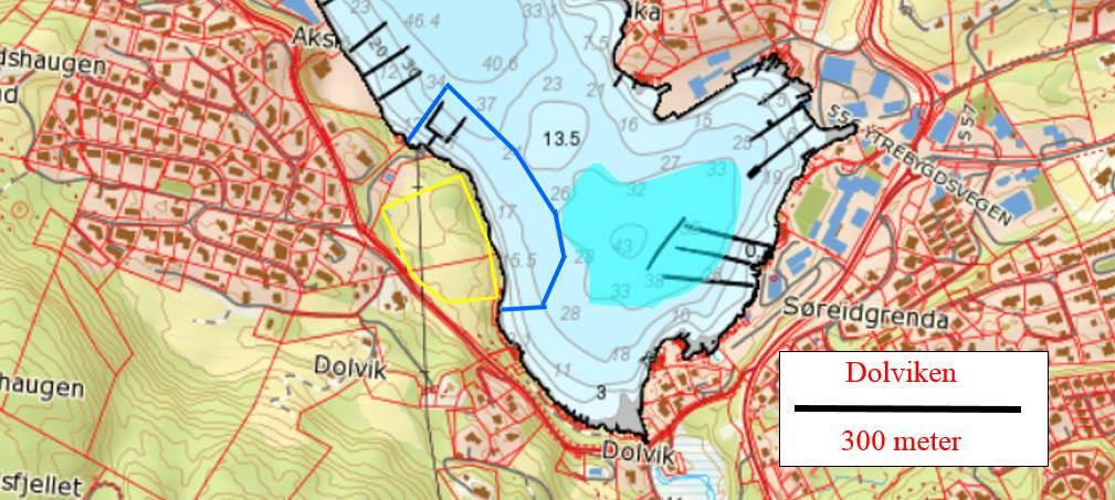 Innerst i Dolviken er det planlagt båthavn (blå strek) og område for deponering av steinmasser (lyseblått felt). Dette skal skje ved flytting av inntil 200.