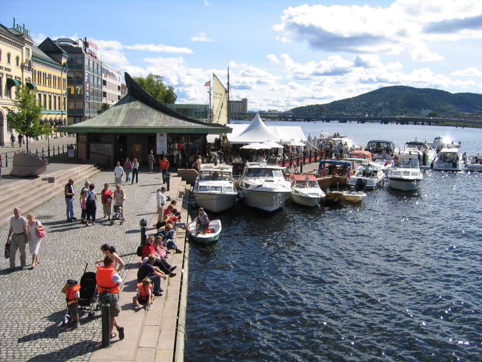 1. Drammen kommune som områdeutvikler.