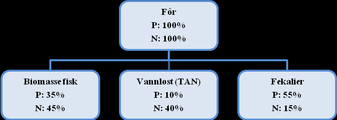 Massebalanse for nitrogen (N) og fosfor (P) i fôring av fisk