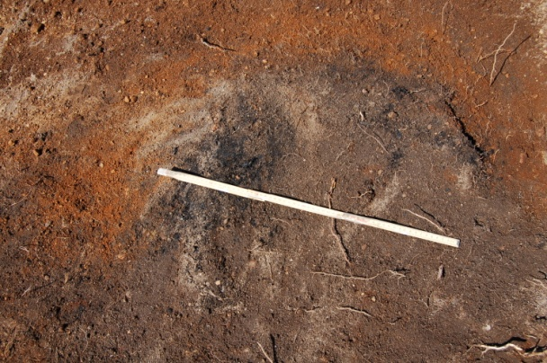 8 0-24 meter: matjord var om lag 35 cm og alle fem strukturer som ble registrert ble funnet i denne delen av sjakten.