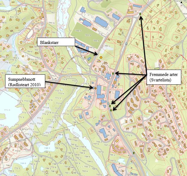 I sentrum er eksisterende terrenget tilnærmet flatt, med små nivåfrskjeller.