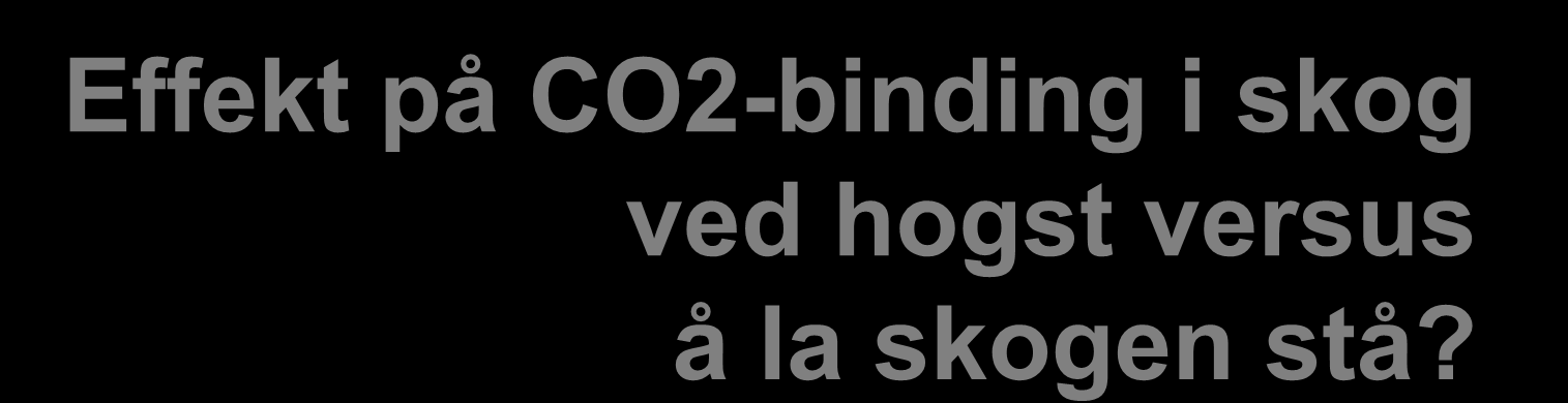 Jørgen Randers Professor Senter for klimastrategi