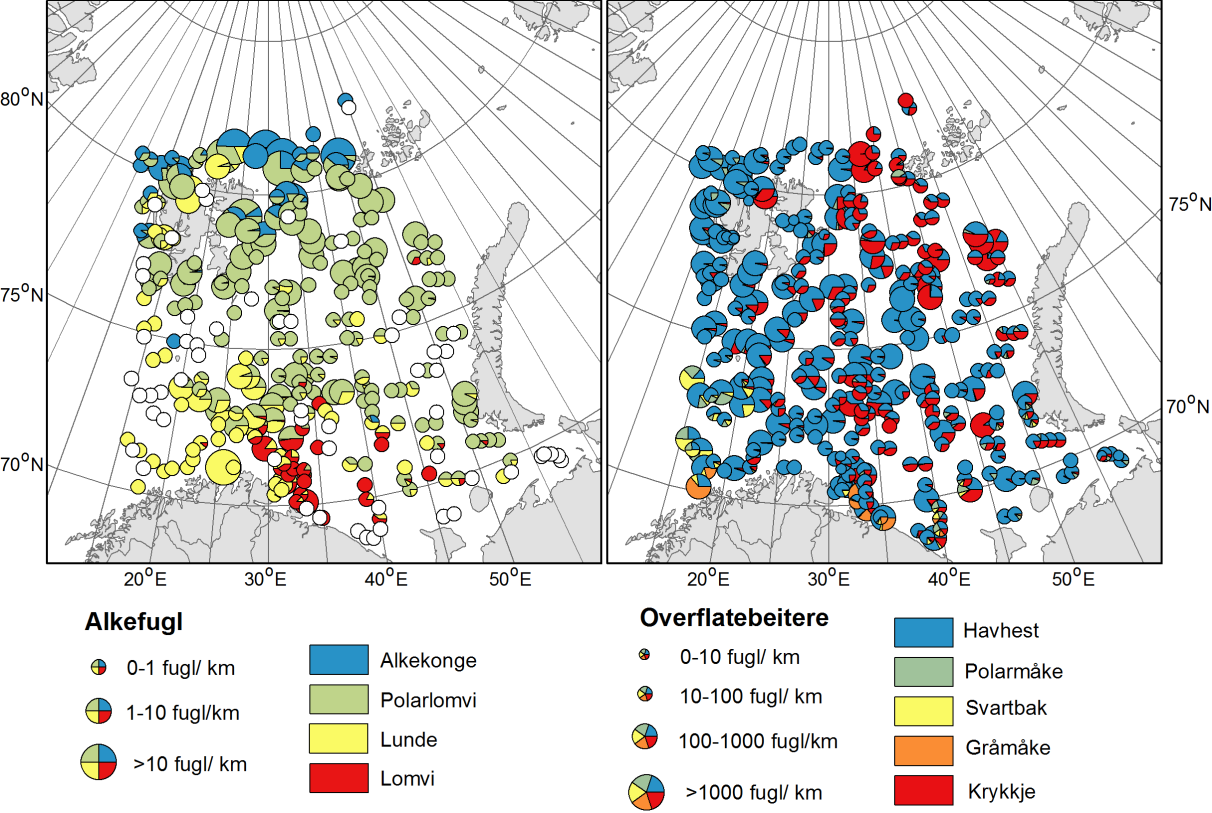 Figur 9. Fordeling av sjøfugl under økosystemtoktet (Havforskningsinstituttet og PINRO) i august-oktober 2014. Data er aggregert på 50 km transekter.