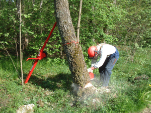 Arboristutstyr 10 Arborist TreeUp klatresele Kr. 2.990,En lett og behagelig sele, laget i kraftig materiale. Bevegelig ring foran for friere bevegelse under klatringen.