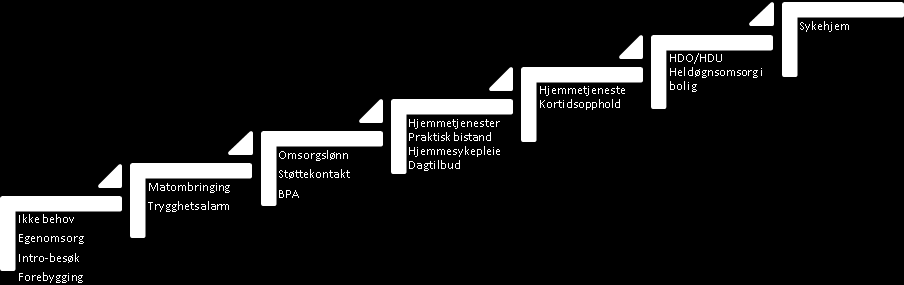 5. STATUSBESKRIVELSE AV DEMENSOMSORGEN I ØYER KOMMUNE 5.1 Omsorgstrappa Omsorgstrappa er etter LEON prinsippet med laveste effektive omsorgsnivå.