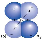 Homonukleære diatomiske molekyler Orbitalene navngis etter hvordan fortegnet endres. Gerade (g) betyr lik, altså når fortegnet endres ikke når vi følger en diagonal gjennom molekylets sentrum.