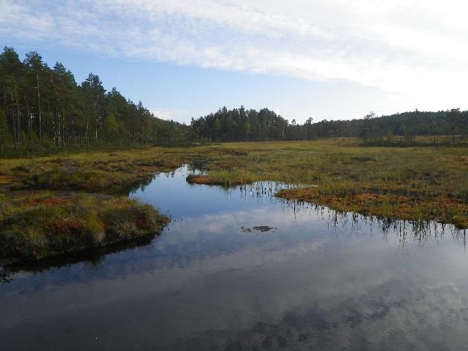 3.6 Lyseren Lyseren er en ca 200 m lang innsjø i Mjerma/Haldenvassdraget, nær grensa til Rømskog. Det finnes ingen tydelige innløps- eller utløpsbekker, bare et myrsig ned mot Tresjøen.