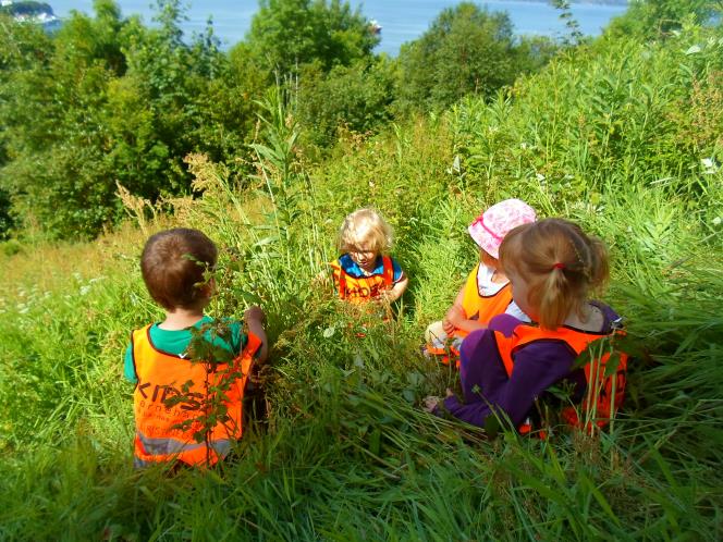 Innhold 1. Årsplanarbeid Årsplanens grunnlag Kidsa barnehager pedagogiske plattform Kidsa barnehager pedagogiske grunnsyn 2. Om barnehagen Barnehagens mål Barnehagens egenart 3.